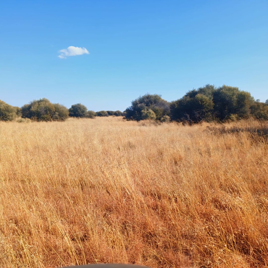 Commercial Property for Sale in Reivilo Northern Cape